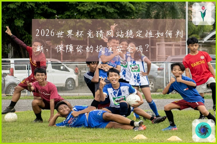2026世界杯竞猜网站稳定性如何判断，保障你的投注安全吗？